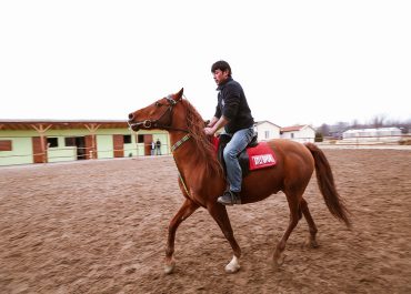 afyon_at_safari