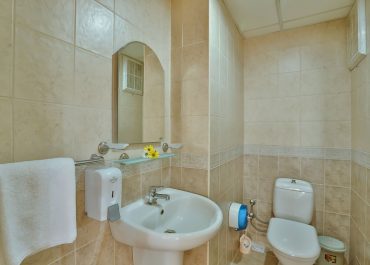 apart_banyo_wc-1024x683